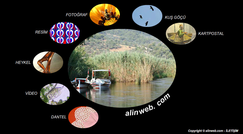 www.alinweb.com